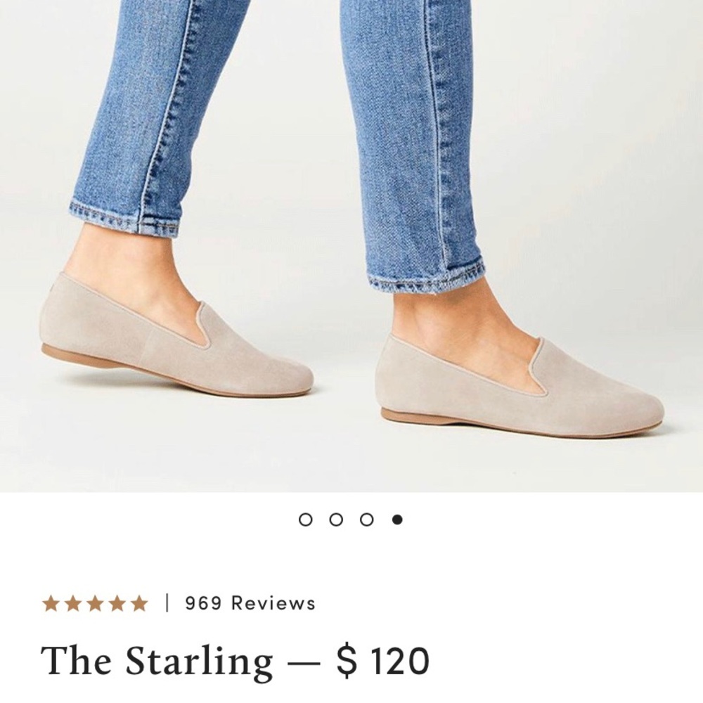 Birdies Staring Flat